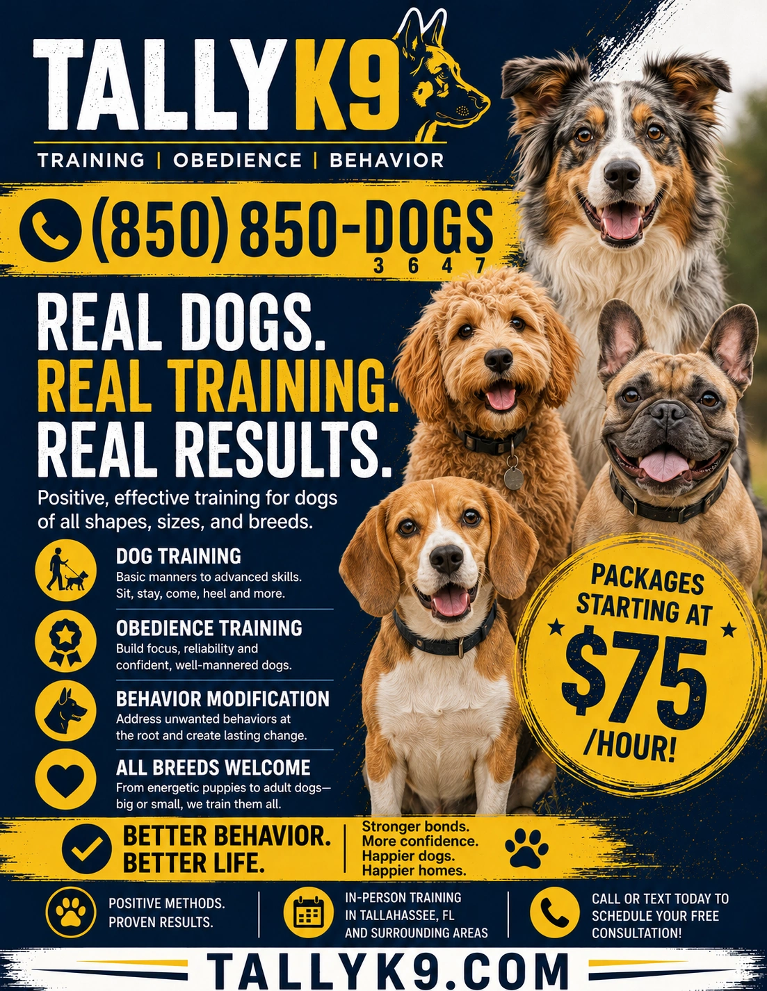 Tally K9 dog training flyer with Belgian Malinois